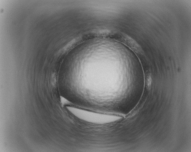 X0000085311204200703231915