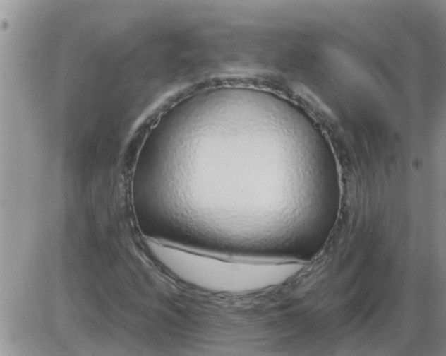 X0000085311208200703231915