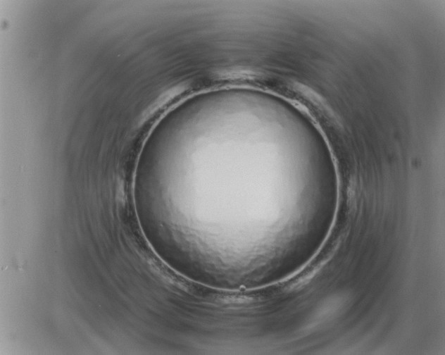 X0000085311209200703231915