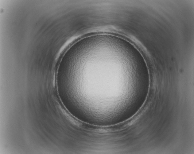 X0000085311224200703231915