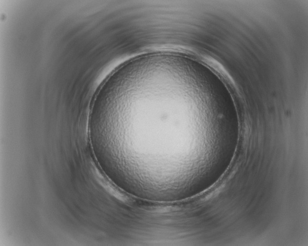 X0000085311228200703231915