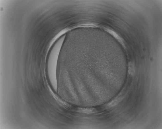 X0000085311229200703231915