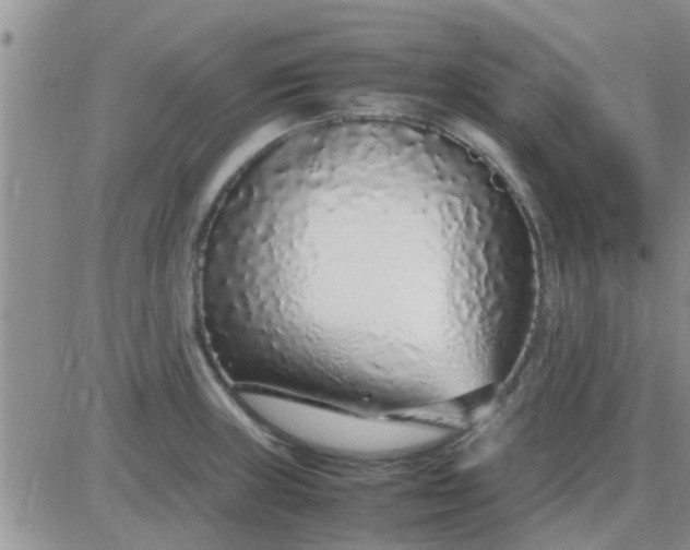 X0000085311235200703231915