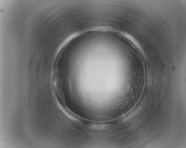 X0000085311237200703231915