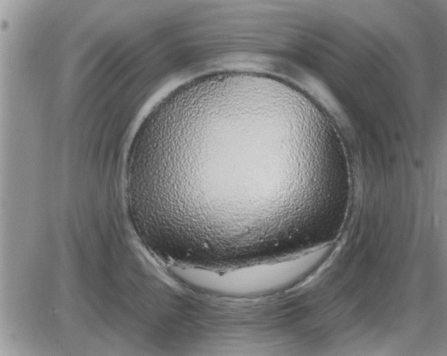 X0000085311240200703231915