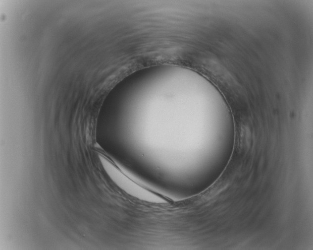 X0000085311250200703231915