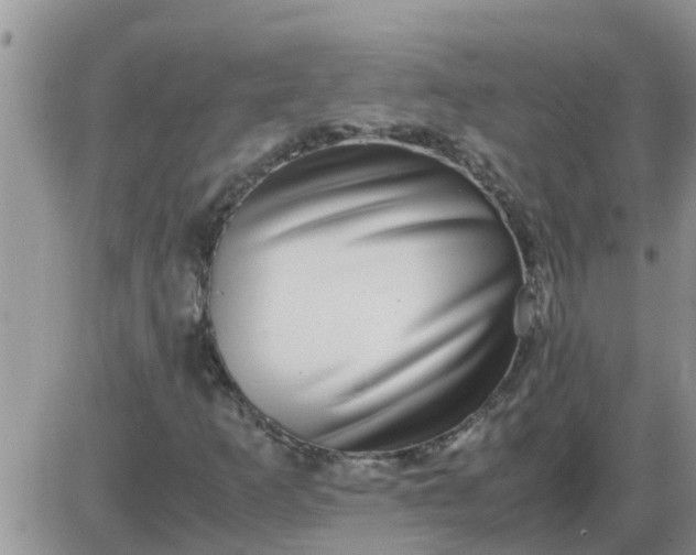 X0000085311253200703231915