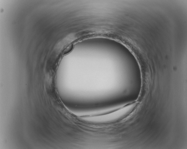 X0000085311257200703231915