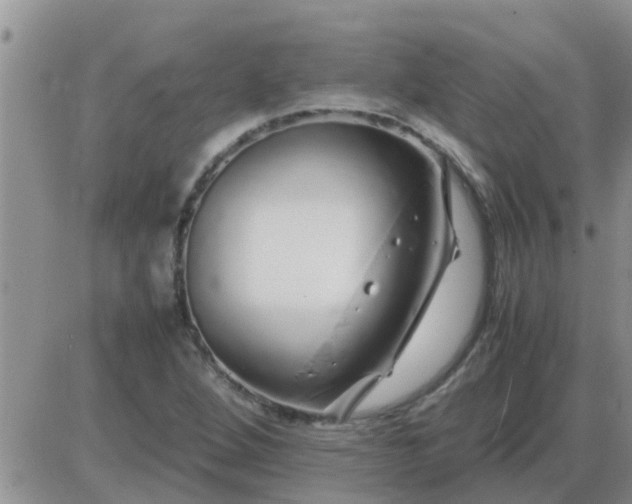 X0000085311264200703231914