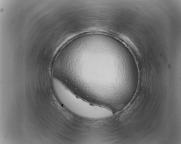 X0000085311268200703231914