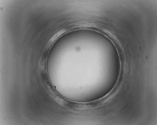 X0000085311273200703231914