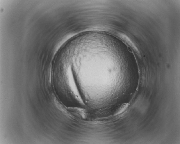 X0000085311276200703231914