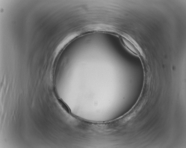 X0000085311285200703231914