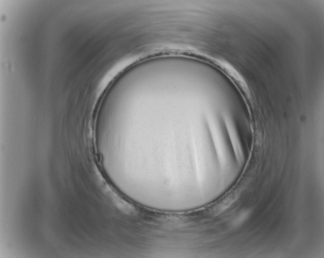 X0000085311287200703231914