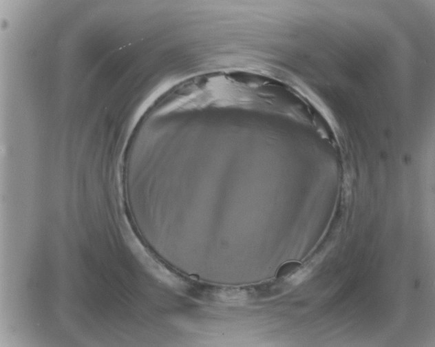 X0000085311291200703231914