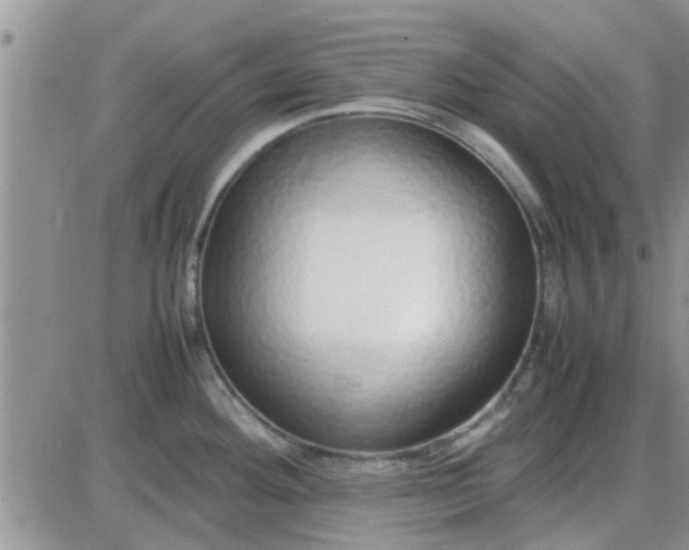 X0000085311292200703231914