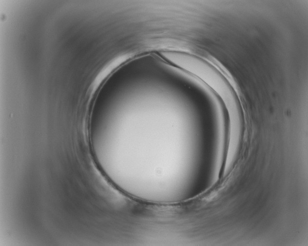 X0000085311293200703231914