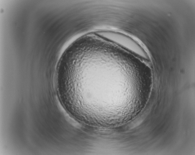 X0000085311295200703231914