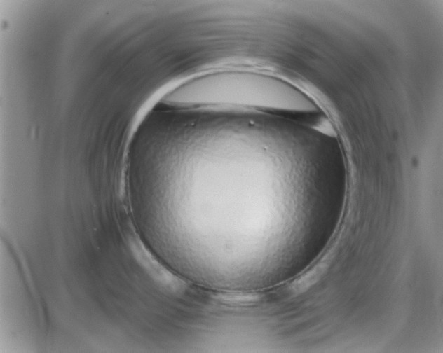 X0000085311296200703231914