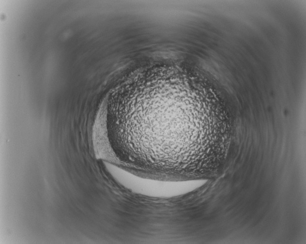 X0000085311297200703231913