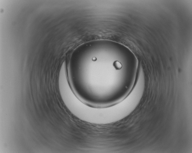 X0000085311298200703231913