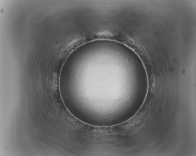 X0000085311301200703231913