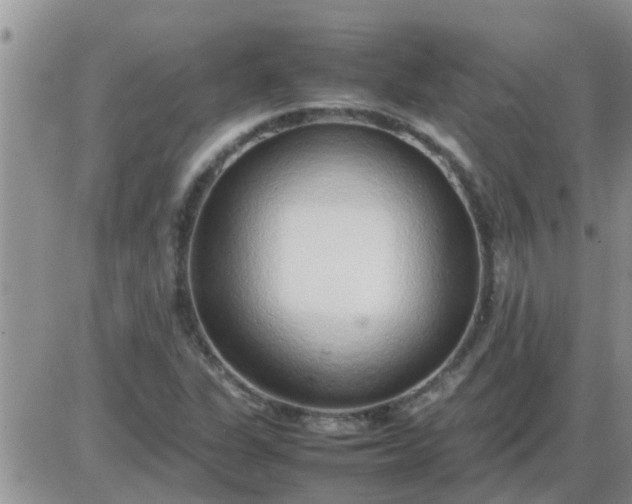 X0000085311311200703231913