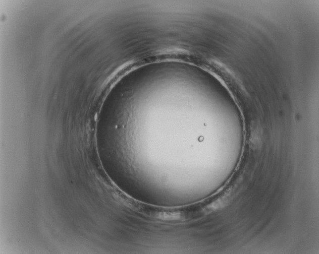 X0000085311313200703231913