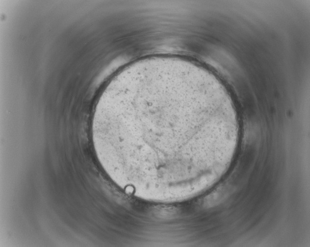 X0000085311314200703231913