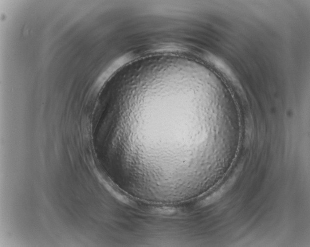 X0000085311329200703231914