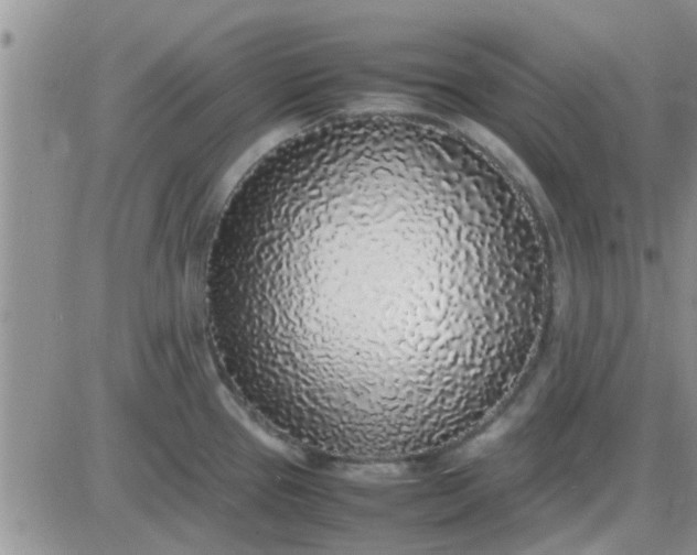 X0000085311337200703231914