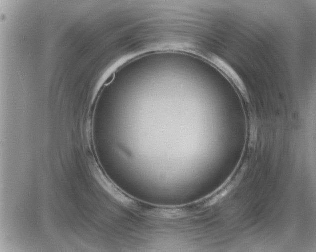 X0000085311340200703231914