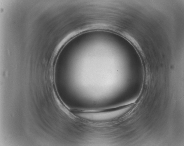 X0000085311342200703231914