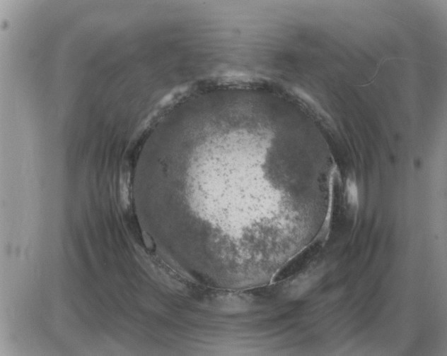 X0000085311348200703231913