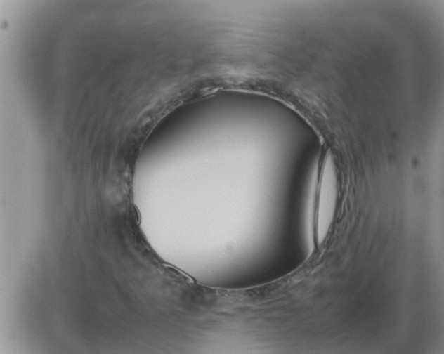 X0000085311349200703231913