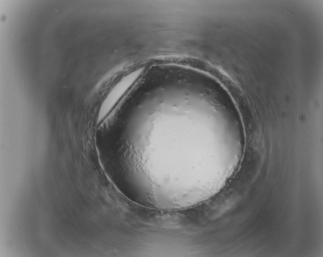 X0000085311351200703231913