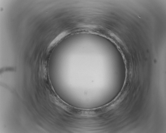 X0000085311354200703231913