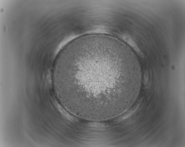 X0000085311356200703231913