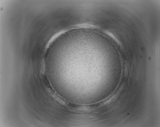 X0000085311358200703231913