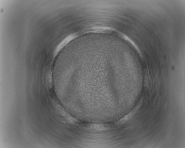 X0000085311362200703231913