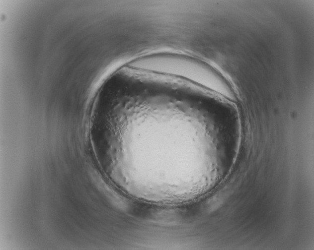X0000085311367200703231913