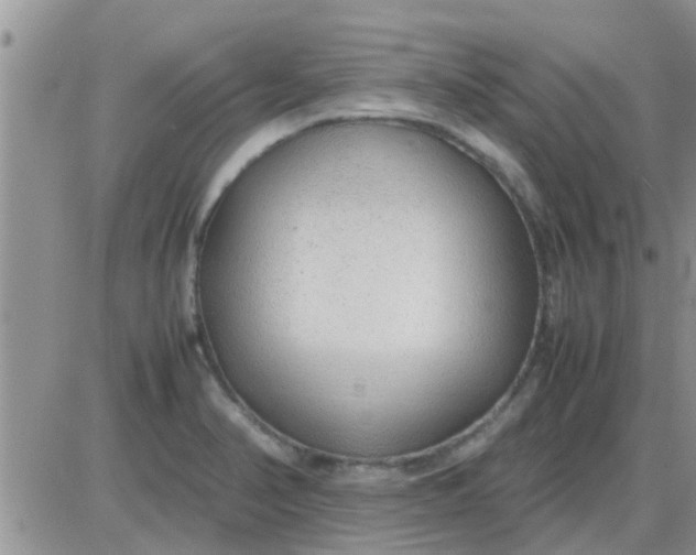 X0000085311374200703231913