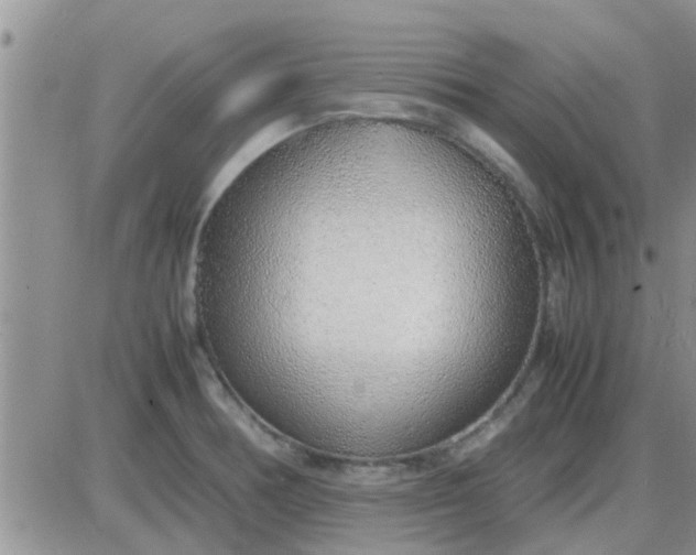 X0000085311378200703231913