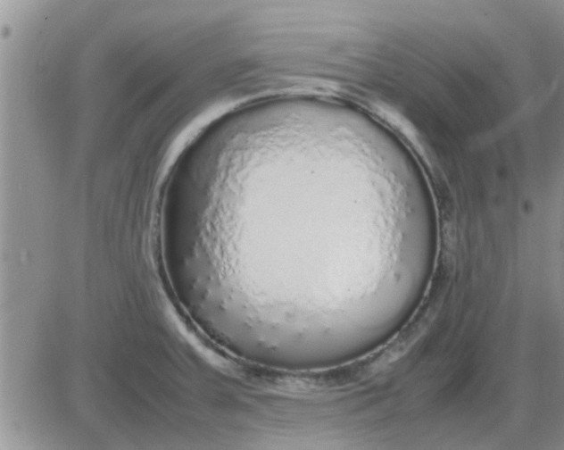 X0000085311379200703231913