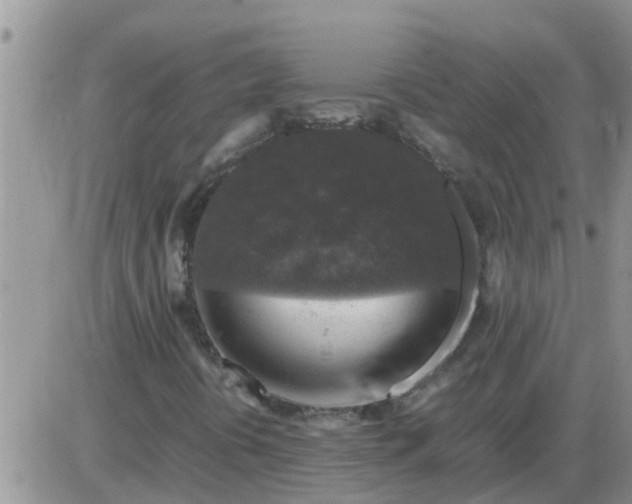 X0000085311394200703231912
