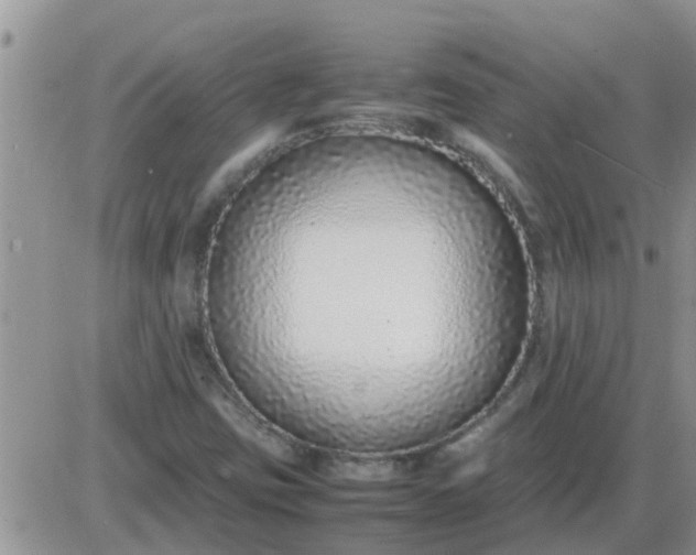 X0000085311403200703231912