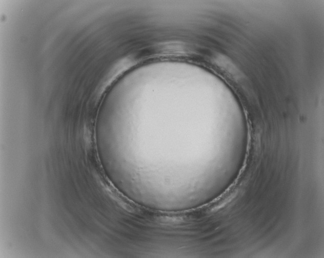 X0000085311409200703231912
