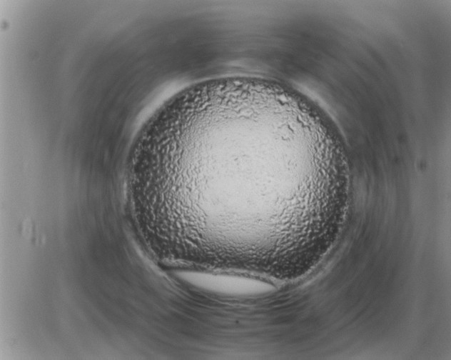 X0000085311415200703231912