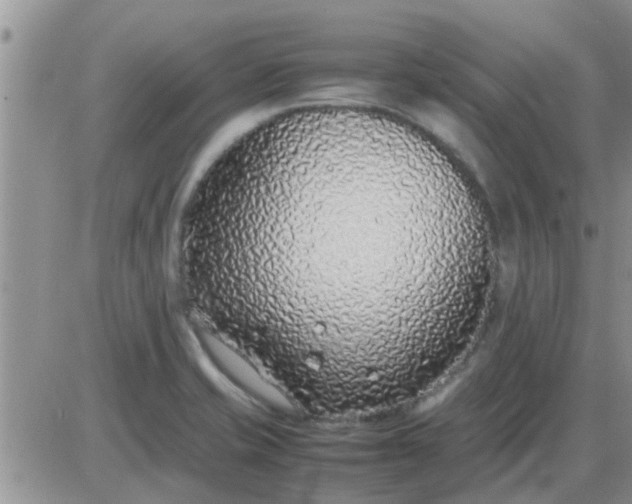 X0000085311421200703231912