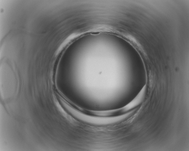 X0000085311422200703231912